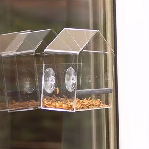 St Helens Home & Garden Transparent Acrylic Bird Feeder – 2