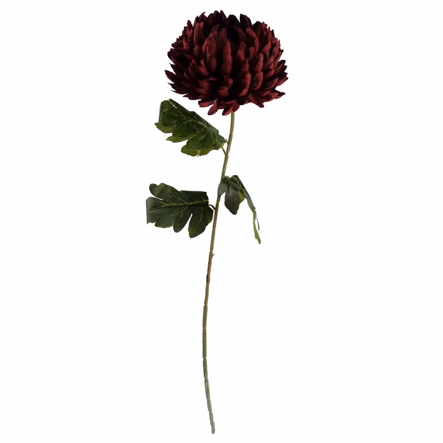 Leaf Red Artificial Chrysanthemum Stem Flowers, Height: 75 cm – 2