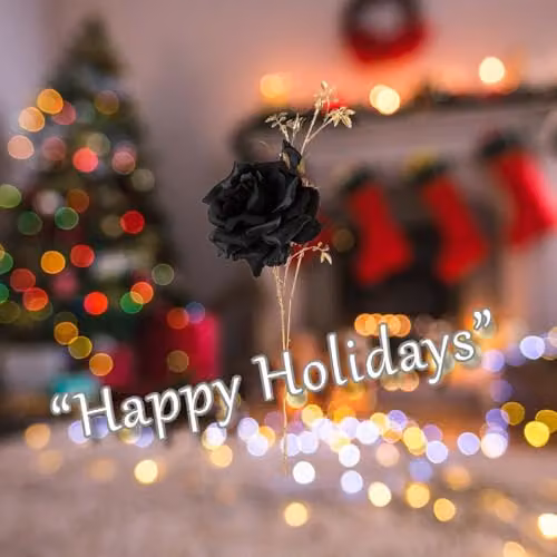 VFM e-Store Christmas Rose Spray Pick Decoration in Black, H 80 cm x W 16 cm – 3