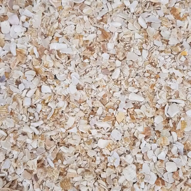 Simpa Beige Seashell Chippings 7kg Bag (5-20mm)