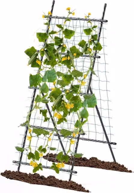 COSTWAY Metal Netted Vertical Garden Plant Trellis Support in Black, H 190 x W 80 x D 80 cm