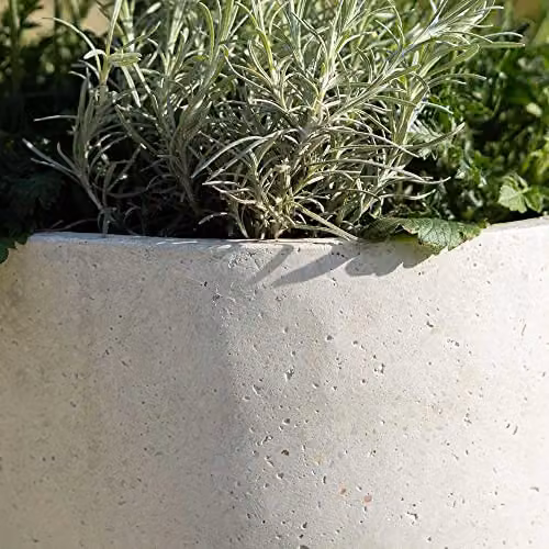 Primrose White Egg Shape Polystone and Fiberstone Planter for Indoor and Outdoor Use, 36 cm – 3