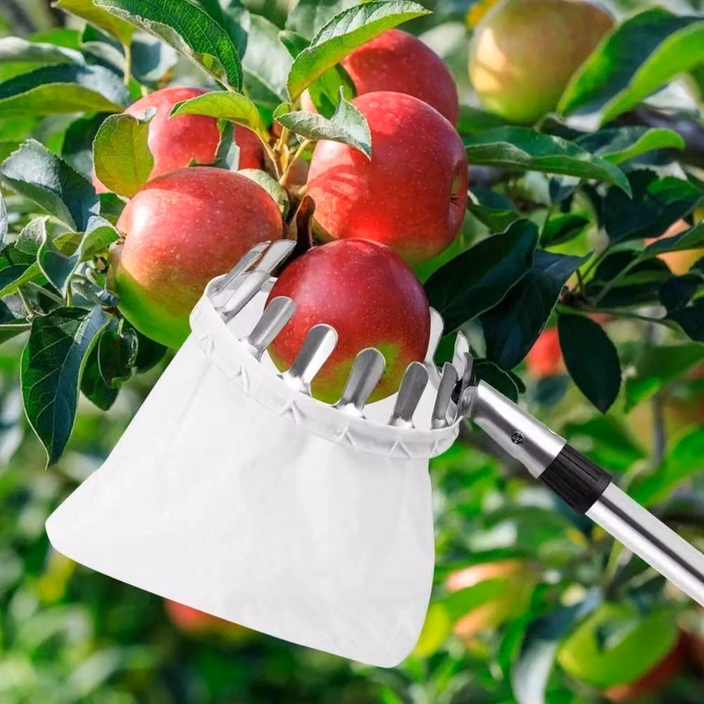 KORVIXA Telescopic Manual Fruit Apple Picker in Green with Stainless Steel – 2