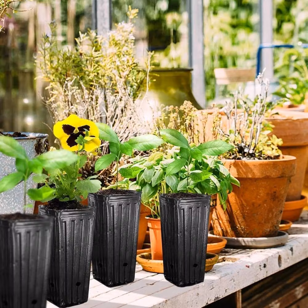 Havendro 50 Pack Black Plastic Nursery Tree Pots and Seedling Planters, Depth: 24 cm – 4