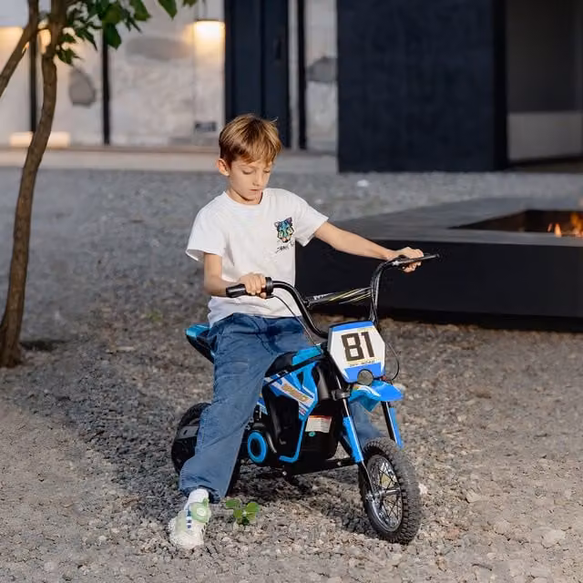 AIYAPLAY Kids 24V Electric Dirt Bike in Blue