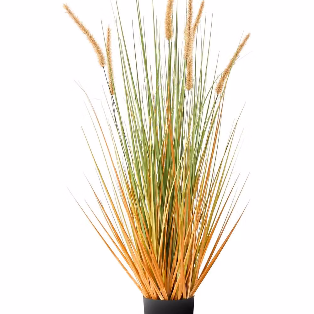 Wyld and Coco Artificial Bristlegrass Plant in Black Pot, Green and Orange, Height: 90 cm – 2