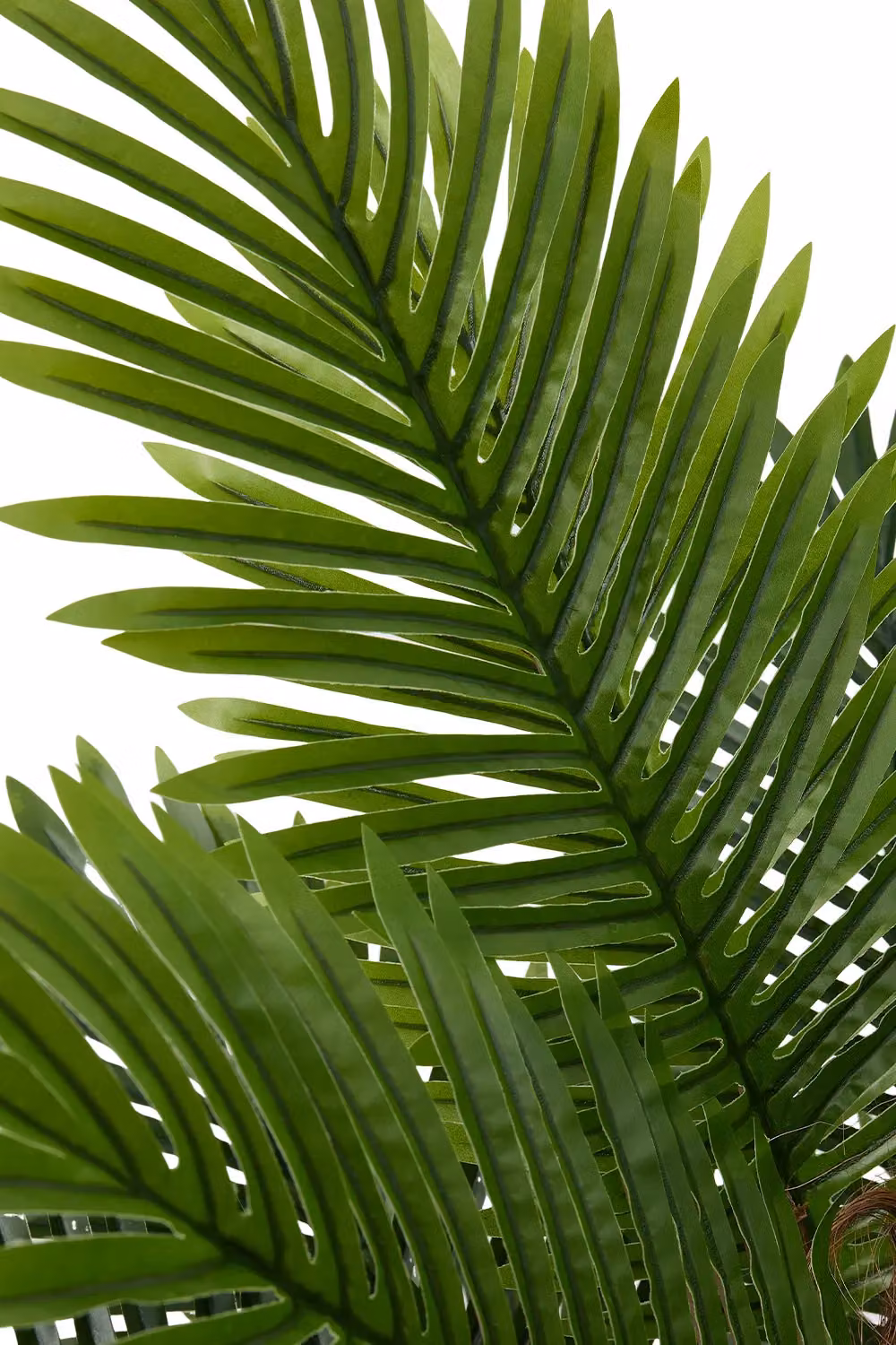 Living and Home Green Artificial Potted Palm Tree, Height: 120 cm – 3