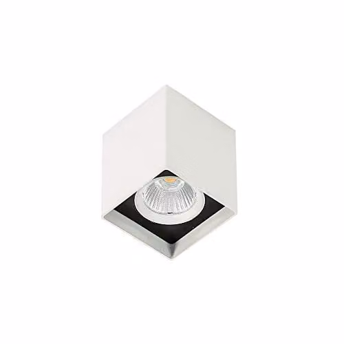 Netlighting Modern Square LED Surface Mounted Downlight in White and Black, 3000K Warm White, 1010lm