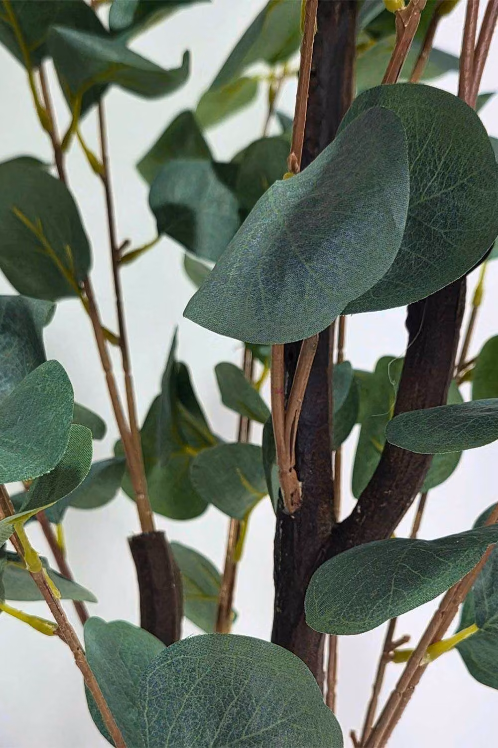 Homescapes Luxury Artificial Eucalyptus Tree, Green, Height: 100 cm – 2