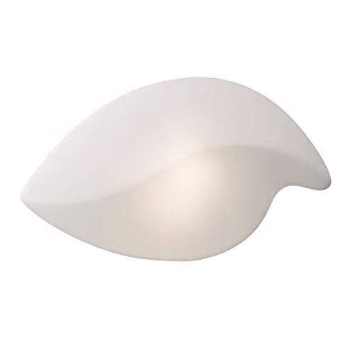 Netlighting Natura Large 2-Light Outdoor Ceiling and Wall Lamp in Matt White and Opal Glass, IP44 – 1