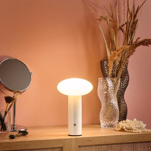 Wyld and Coco Wireless LED Mushroom Table Lamp in White, Dimmable Touch Control Metal and Glass Design – 1