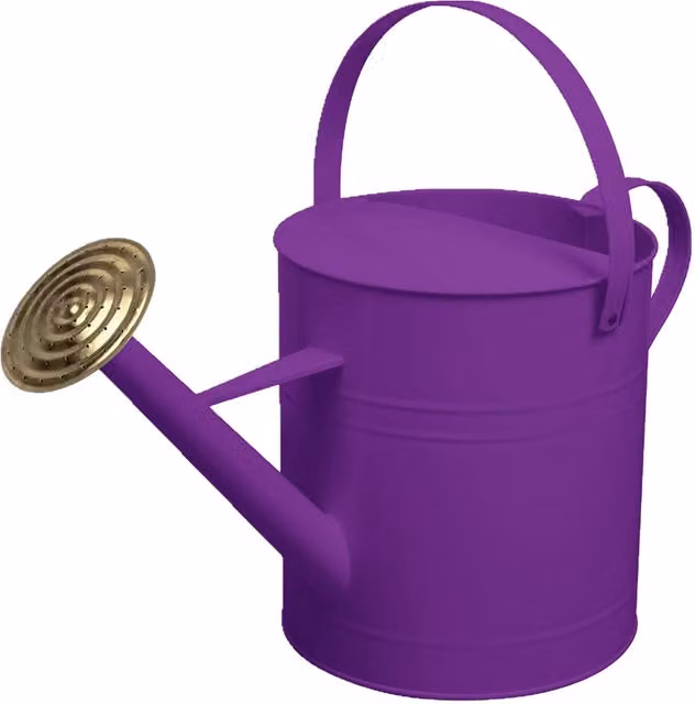 Simpa 9 Litre Metal Watering Can with Brass Rose in Purple