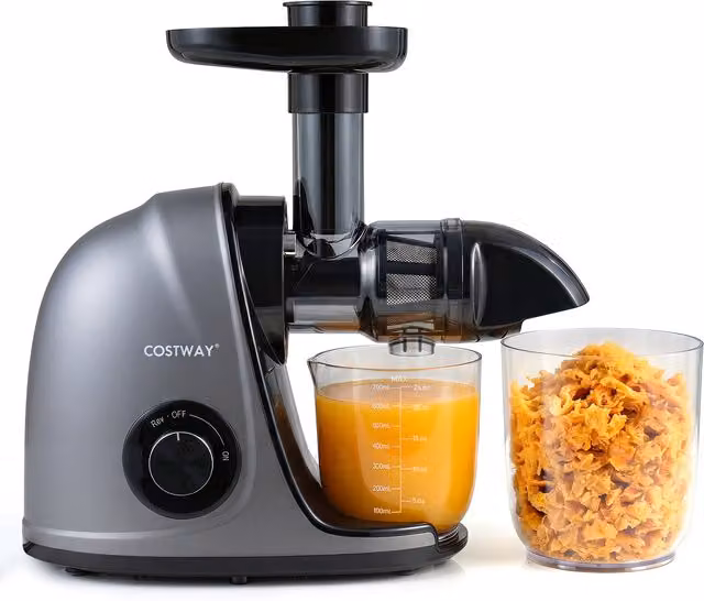 Costway Slow Juicer Machine, Grey