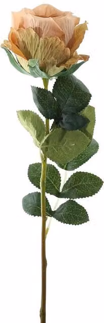 Kingsbury Gifts Single Stem Vintage Nude Silk Garden Rose, Height: 35 cm