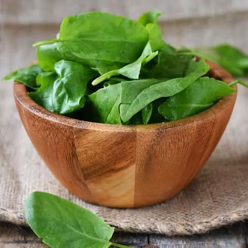 Thompson & Morgan Sorrel Volare Perennial Culinary Herb Seeds, 250 Seeds – 2