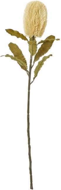 Hill Interiors Banksia Serrata Artificial Flower in Beige