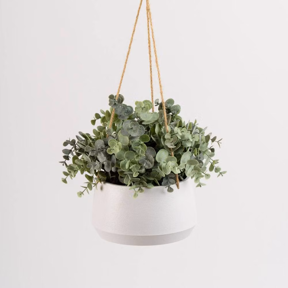 Scottish Everlastings Ltd Outdoor Hanging Eucalyptus in a Light Grey Round Pot, Green – 2