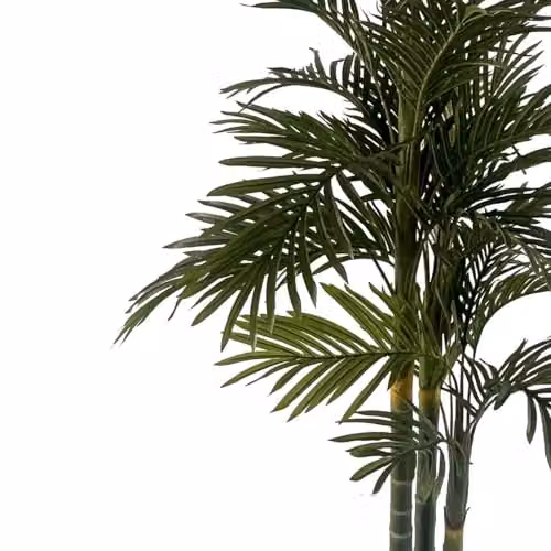 Leaf Design UK Green Artificial Tropical Palm Tree, Height: 180 cm – 2