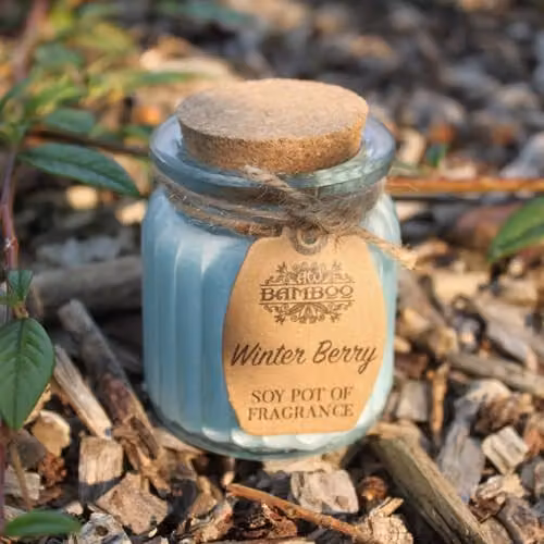 Soy Pot Of Fragrance Winter Berry Glass Jar Candle with Bamboo Lid – 2