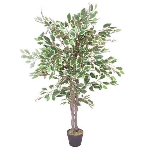 Leaf Realistic White Edge Ficus Artificial Tree in Green and White, Height: 130 cm