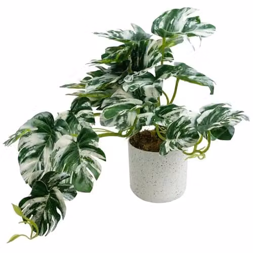 Leaf Design UK Artificial Potted Monstera Plant, Green, H 30 cm x W 30 cm x D 30 cm – 1