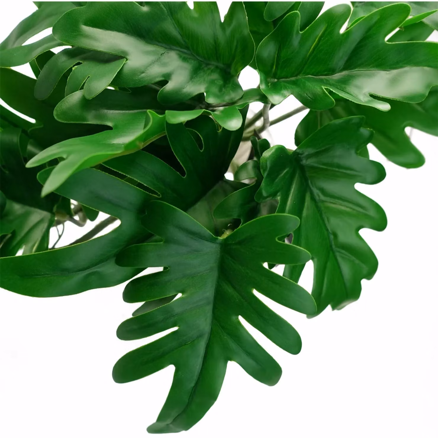 Leaf UK Artificial Hanging Philodendron Plant in Green and Multicolour, 50 cm – 2
