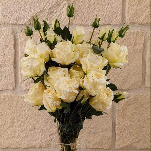 Botanik Cream Rose Artificial Flower Sprays with 24 Flowers and 18 Buds, Beige and White, H 60 cm x W 20 cm x D 20 cm – 1