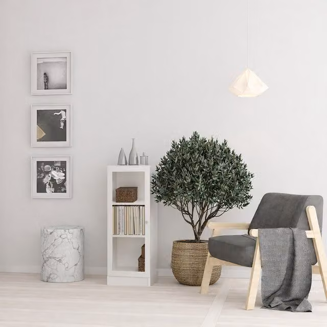 Furniture To Go Basic Low Narrow Display Cabinet with Glass Doors and 2 Internal Shelves in White