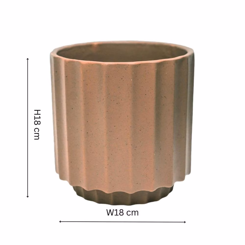 Ivyline Bourton Ceramic Scalloped Planter in Brown, H: 18 cm, D: 18 cm – 2