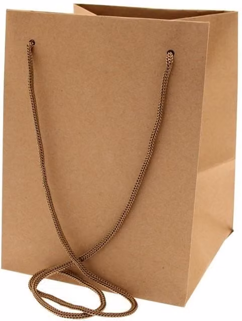 Kingsbury Gifts Kraft Paper Hand Tie Gift Bag in Beige and Brown, Height: 25 cm