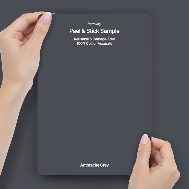 Hemway Interior Paint Sample Peel and Stick Swatch in Anthracite Grey
