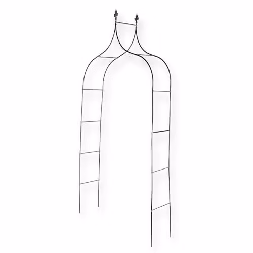 Coopers of Stortford Metal Garden Arch for Climbing Plants in Black, H 246 cm x W 114 cm x D 37 cm – 2