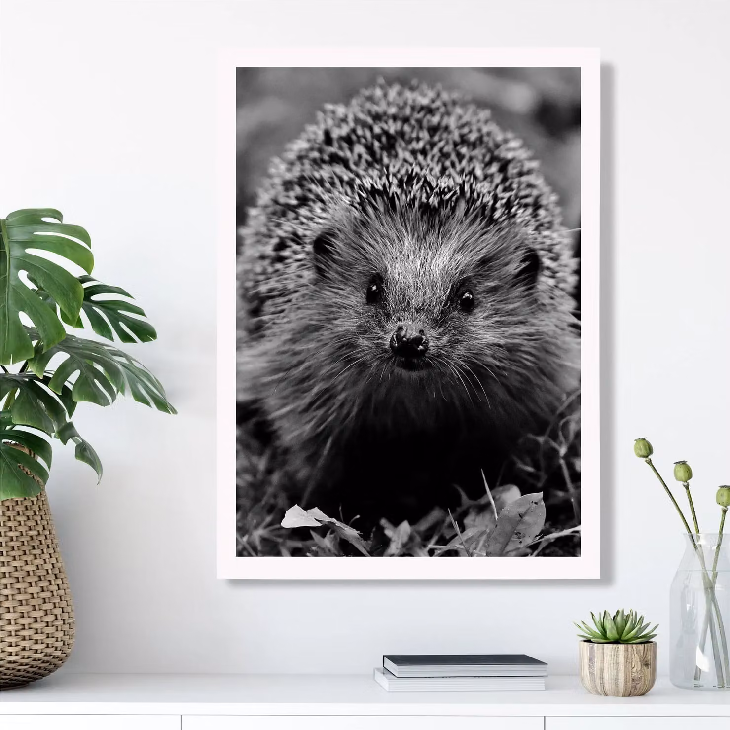 ARTZE Curious Hedgehog Black and White Animal Photo Framed Print with White Frame, A2 – 2