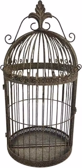 Minster Garden Mirror Cage in Antique Brown Metal, W: 32 cm, H: 63 cm, D: 17 cm