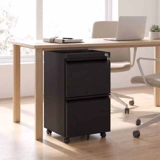 STILVORA Mobile Filing Cabinet with 2 Drawers in Matt Black Metal – 1