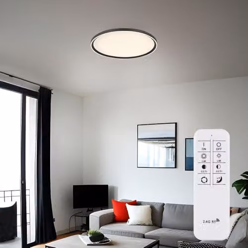Globo Lighting Round LED Ceiling Light in Grey and White with Remote Control and Dimming Function, Diameter: 40 cm – 2