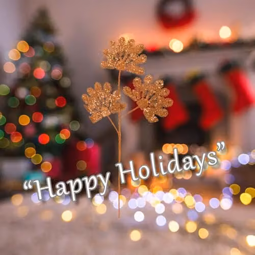 VFM e-Store Christmas Long Stem with Glitter Decoration in Orange and Multicolour, W/H: 22 x 60 cm – 3
