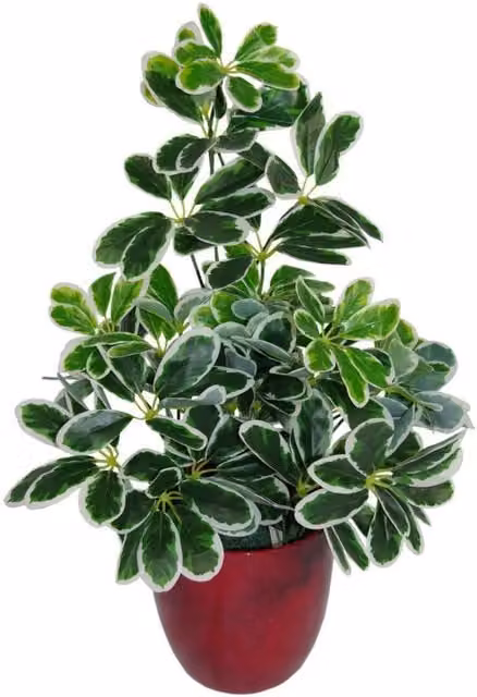 Dyzi Potted Artificial Green Plant with 450 Leaves for Tabletop Display