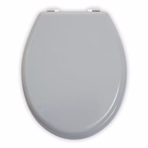 Orsina Grey Oval Wood Toilet Seat with Soft-Close Removable Lid, W/D/H: 36 x 6 x 36 cm