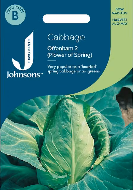 Johnsons Seeds Cabbage Offenham 2 Flower of Spring Vegetable Seeds