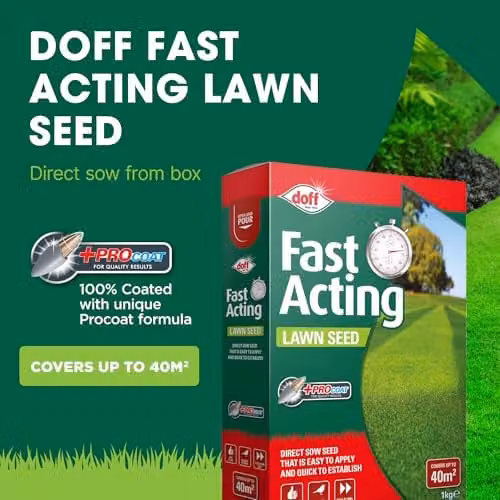 Doff Fast Growing Lawn Seed, 1kg – 2