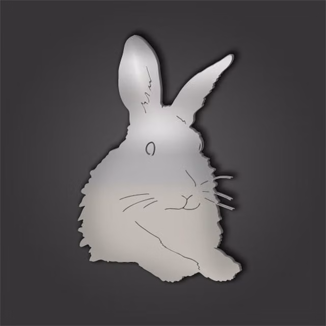 Rabbit Style 8 Engraved Silver Acrylic Mirror, 60 cm Diameter