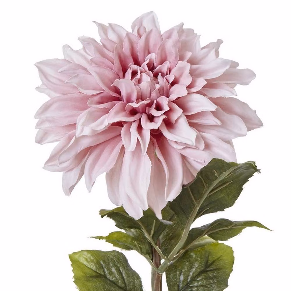 Lemon Pavilion Natural Garden Collection Dahlia Single Stem Flower in Pink, Height: 54 cm – 2