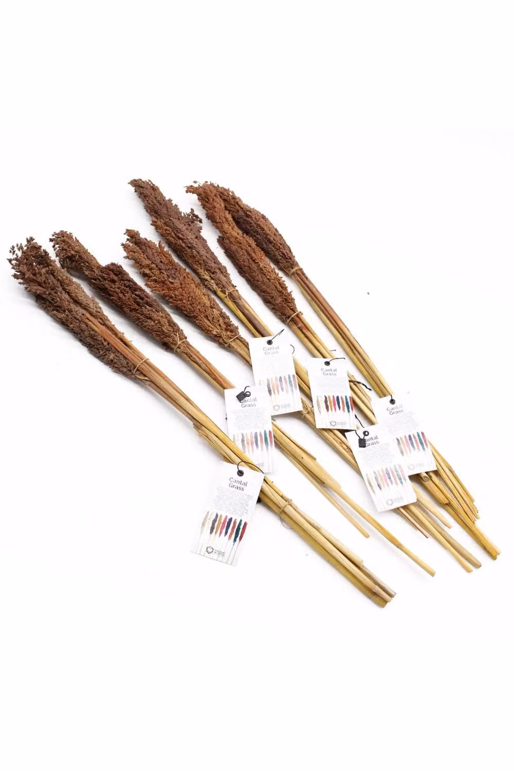 KDMD Vibrant Cantal Grass Bunch Dried Floral Decor in Brown, 50 cm – 2