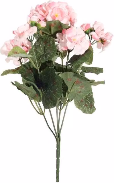KDMD Pink Geranium Bush, 2 Pack