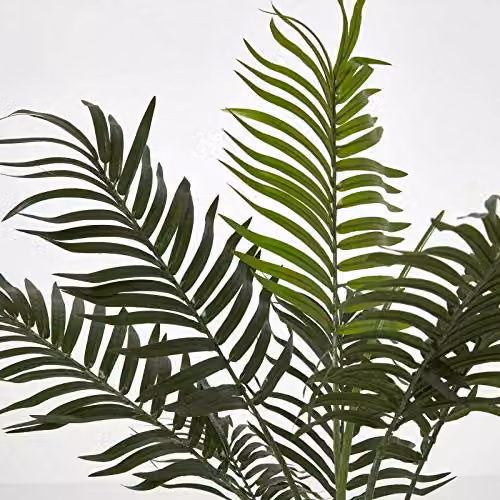 Homescapes Green Artificial Mini Palm Tree with Black Round Pot, Height: 70 cm – 3