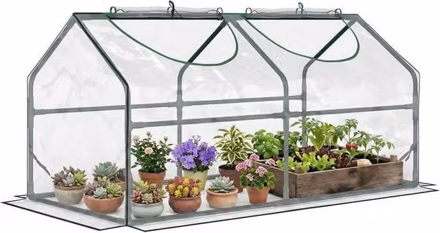 Kelvenix Clear Foil Greenhouse for Tomato and Vegetable Growing, 0.6 m2 – 1