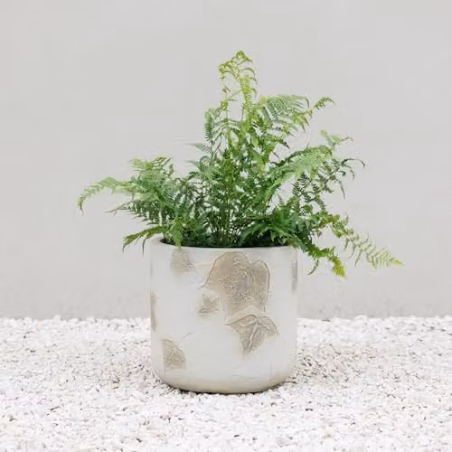 Primrose Grey Stone Effect Round Patio Planter with Embossed Leaf Pattern, Diameter: 30 cm