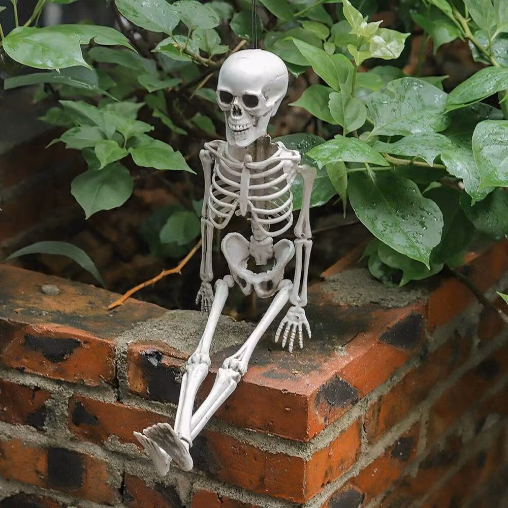 FLAVORA White Poseable Full Life Size Human Skeleton, W/D/H: 15 x 15 x 100 cm – 2