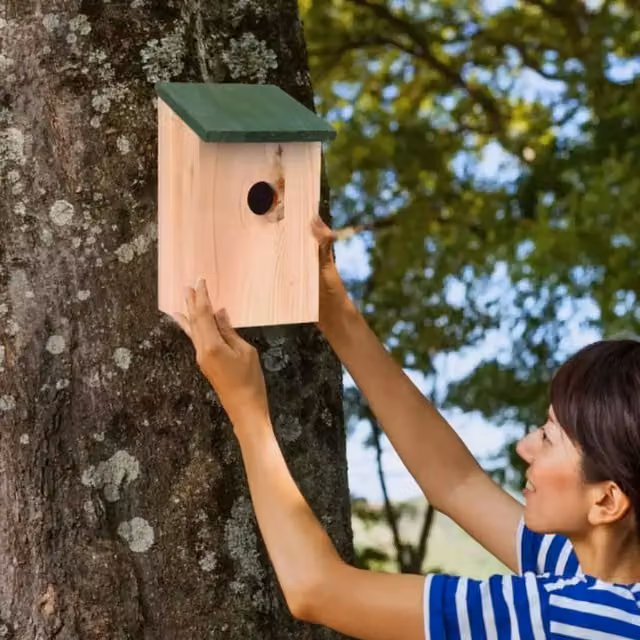 Garden Mile Set of 4 Traditional Wooden Bird Houses in Green and Brown